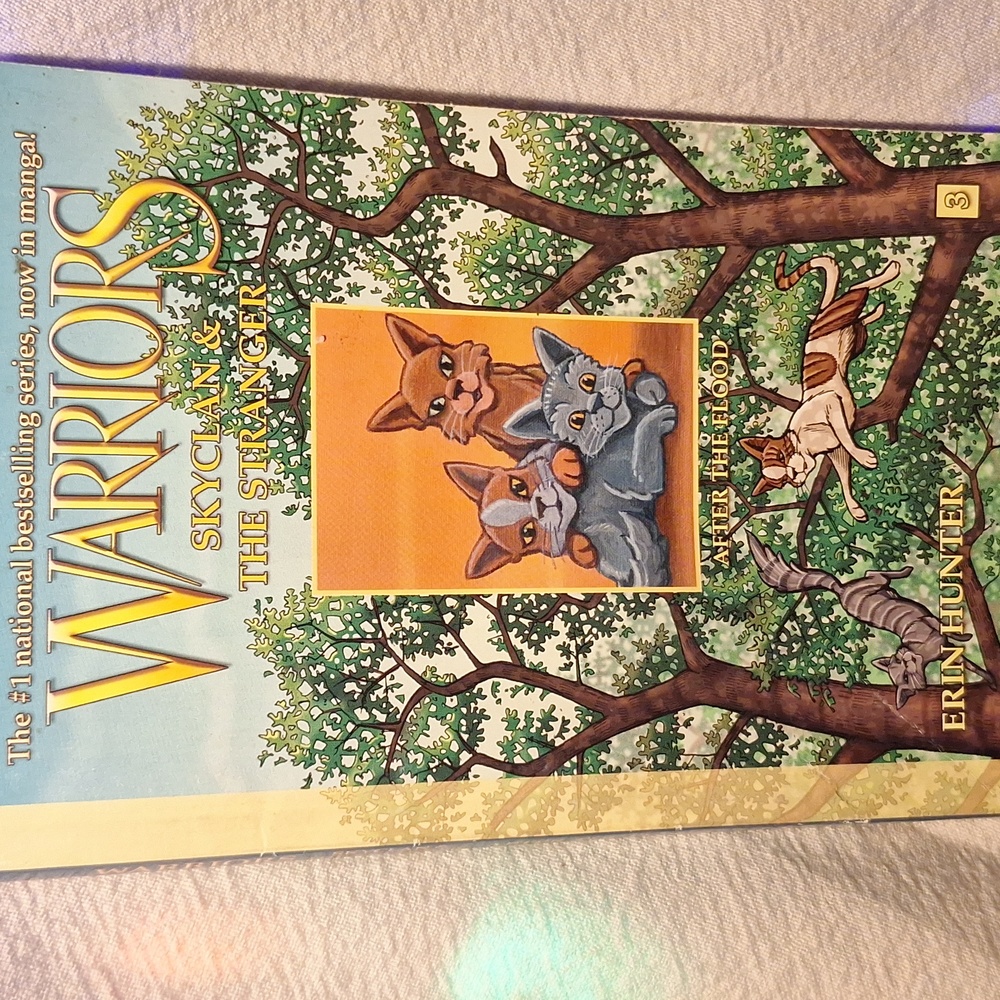 Warriors: Skyclan & the Stranger; After the flood